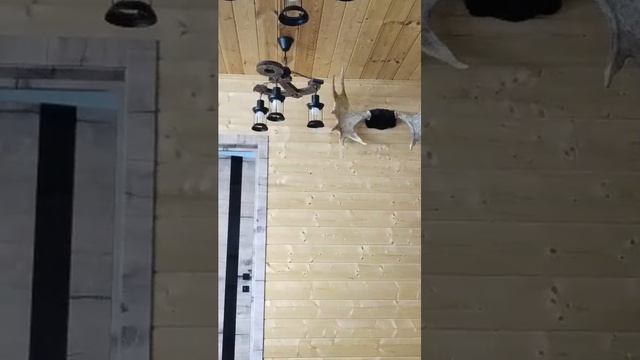 рецепт торта