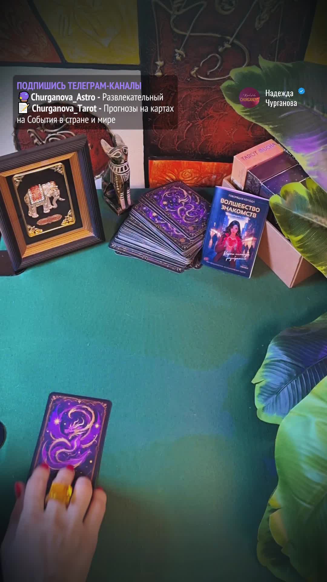 Карта дня-07.mp4