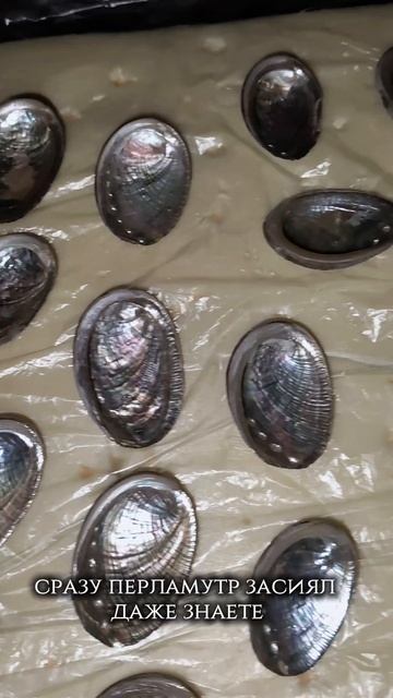 Эффект мокрой ракушки гелиотис
