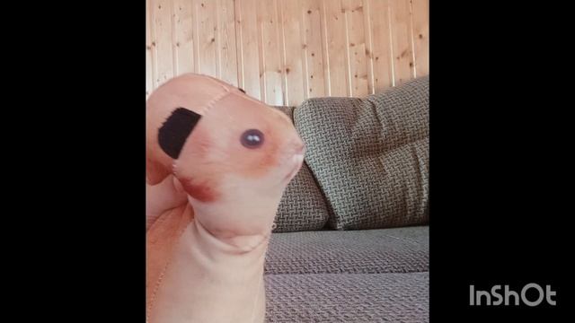 47a7a1ad21d115e5d7de642cf695520f