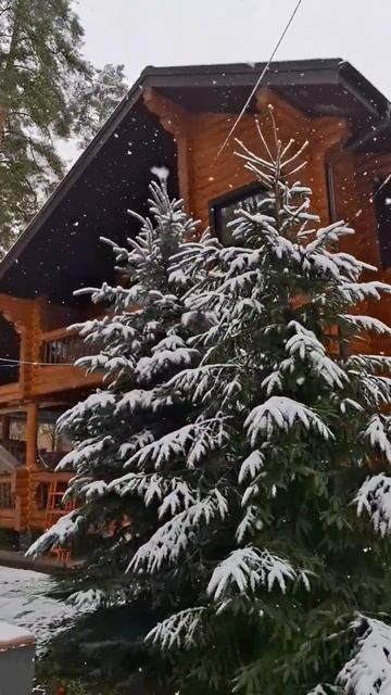 Первый снег. Москва 2025