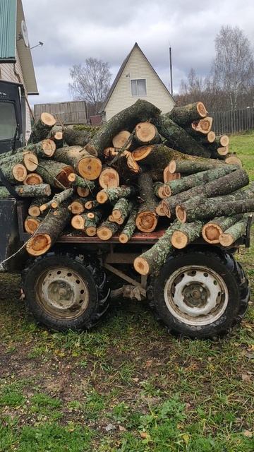 И опять этот Баскунчак откуда-то дрова притащил