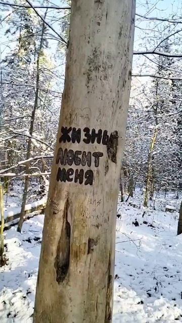 Голубое утро