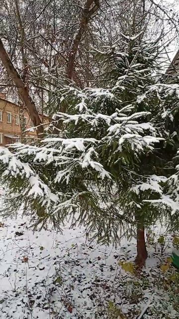 17 ноября 2025 г.