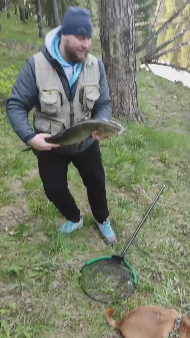 C30b08446912894b264800359c8aa947