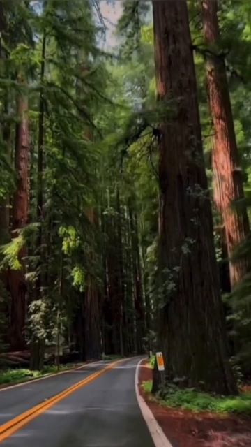 Планета земля #1 #райназемле #иедал #отдых #отпуск #отсров #мальдивы