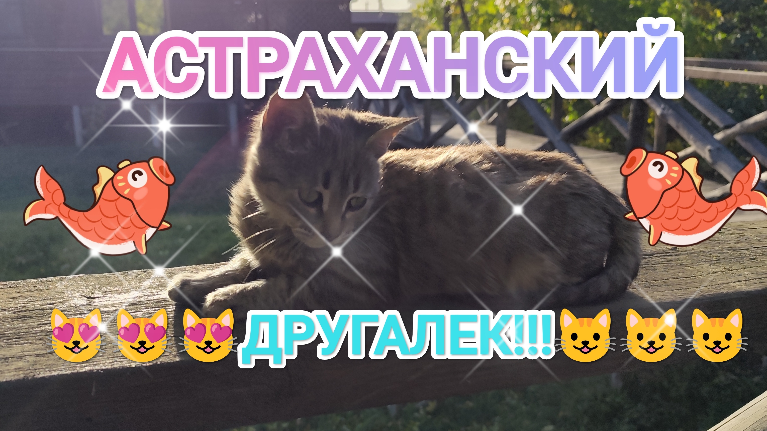 КИСКА АСТРАХАНСКАЯ!😻 #рыбалка #fish #fishing #природа #отдых #рыба #shorts #красота #хобби #киска