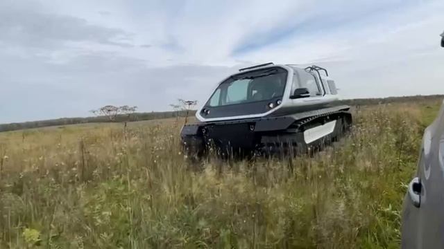 Красота в движении