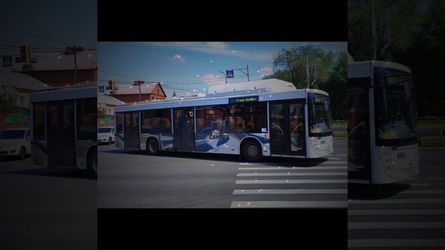 75 автобус