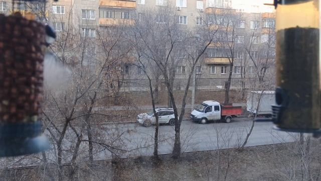 На кормушках