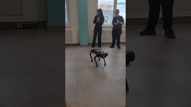 У нас в школе была Робототехника