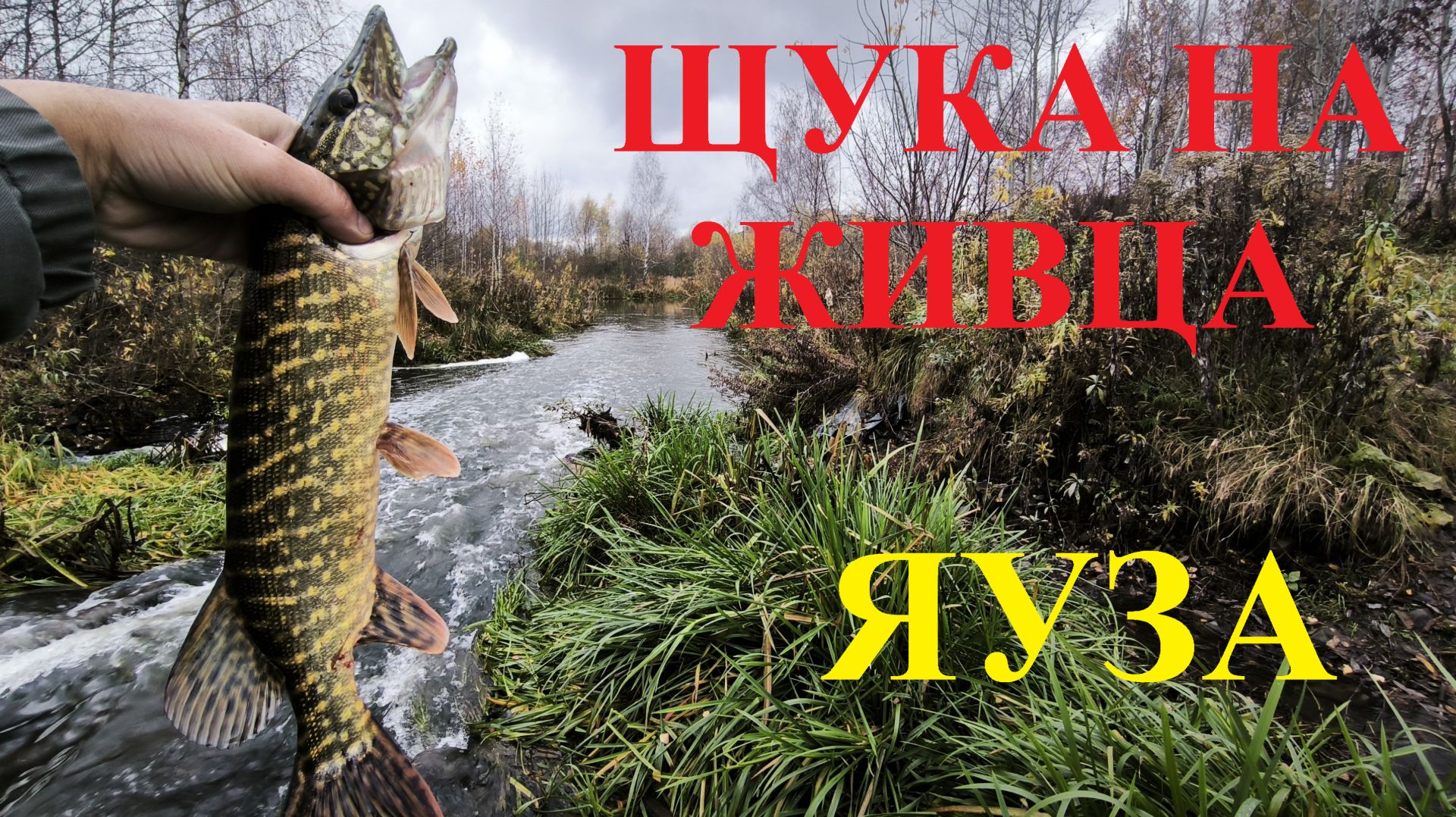 2ee87fc26480ba17c716f2c881df88ad