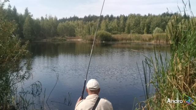 Ловля карпа на кукурузу.