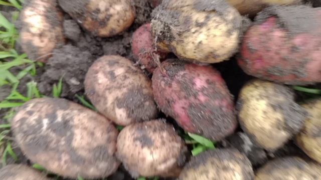 06bdfeacf27ce0472461f23f3d9e2d5c