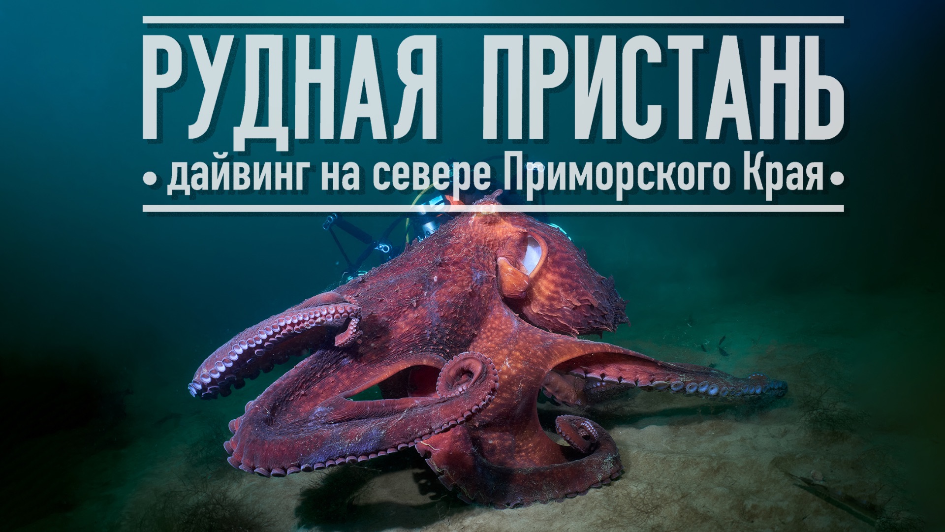 Рудная Пристань. Дайвинг на севере Приморского Края