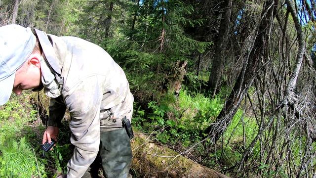 3c148be9bd219e5c8dfef9205ed5815d