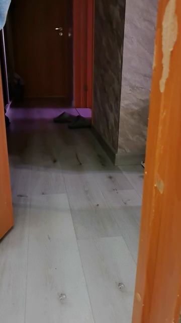 Поиграем?