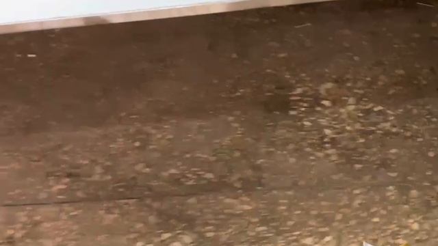 WhatsApp Video 2025-11-19 At 12.57.51