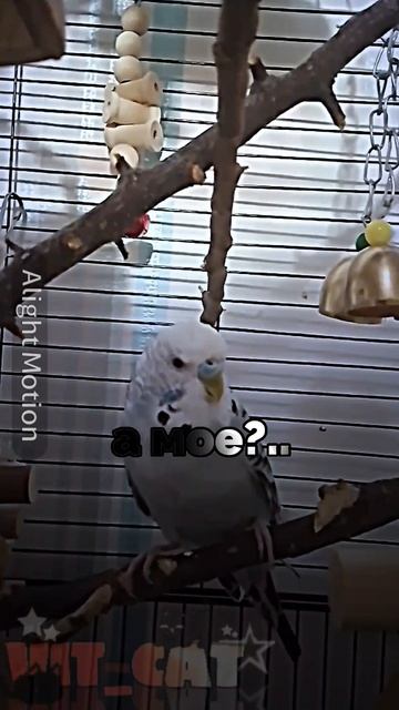 крутой Марфон👺👹🤬😂🤣