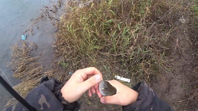 крупный окунь на спиннинг