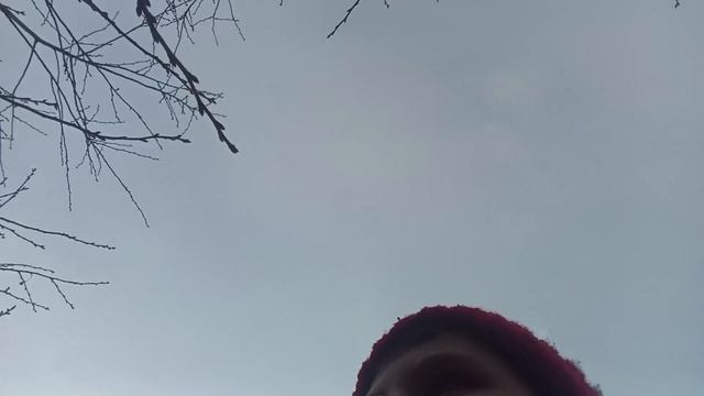 1000035402.mp4