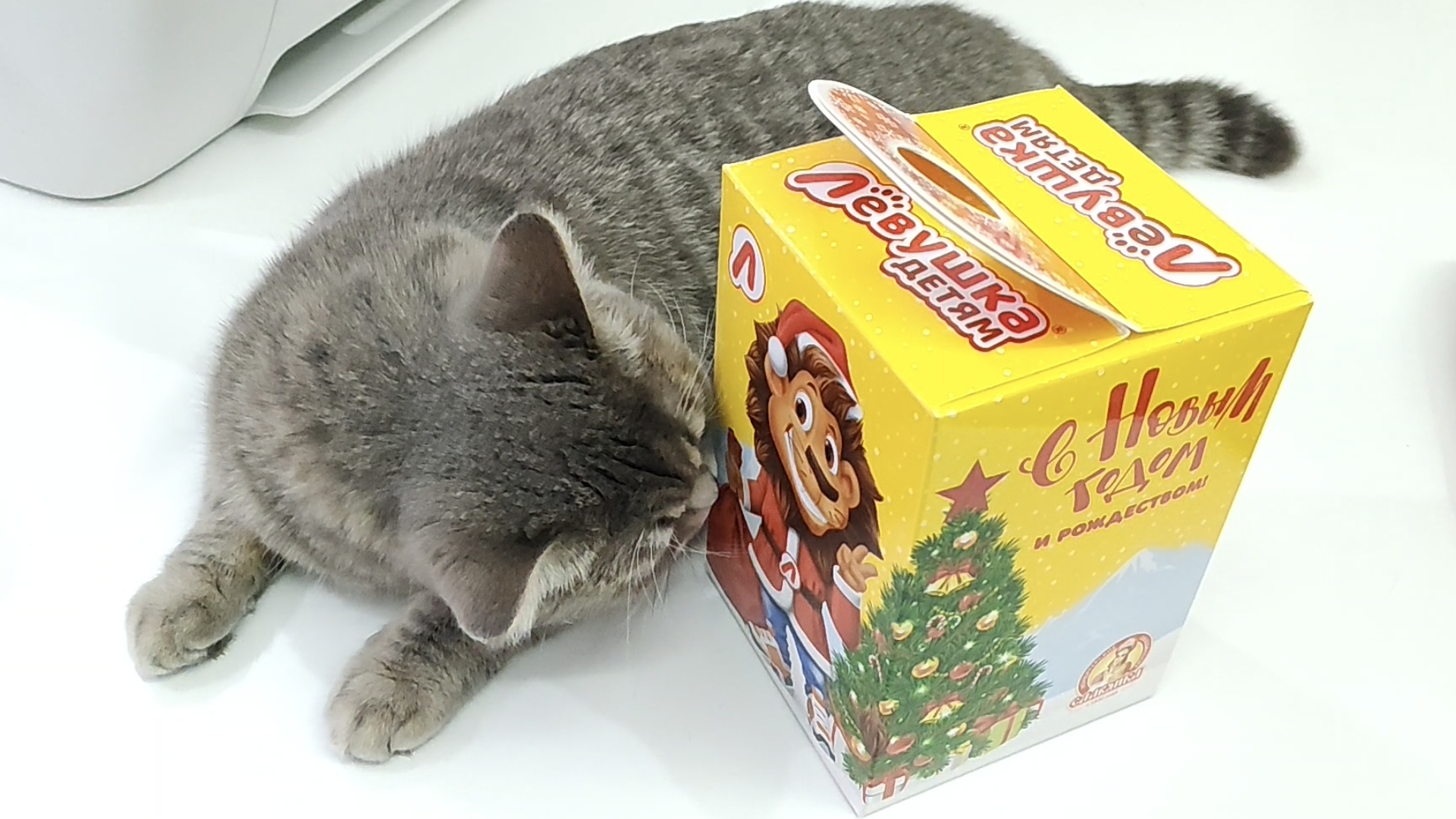 НОВОГОДНИЙ ПОДАРОК 2026 ОБЗОР И РАСПАКОВКА!