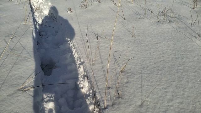 9bfae833d4e58ecd3dd2cb7f01ab2a2d