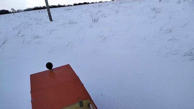 Db918a8bf0c3b9da234c99bd1ec415a4