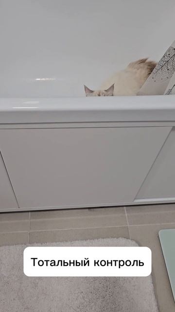 37f906bda9f8f52f0a1e885813093165