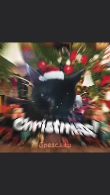 67,last Christmas ☃️⛄❄️