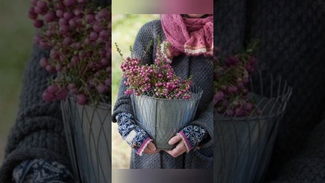 Не слушайте его, он говорит только плохие слова!