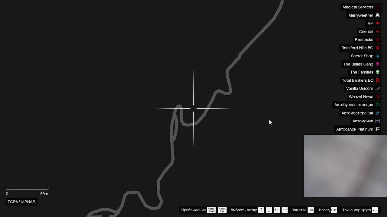 ДЕВОЧКА ТАКСИСТ GTA5RP