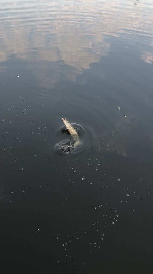 1130b28161c212fb2ea1c788fbd31134