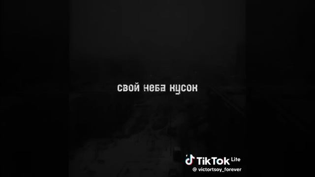 #Цойжив