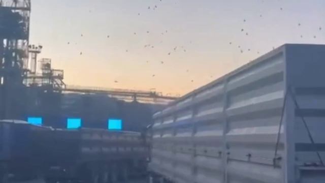 Bf083e490cf63378ad355574035cd2bb