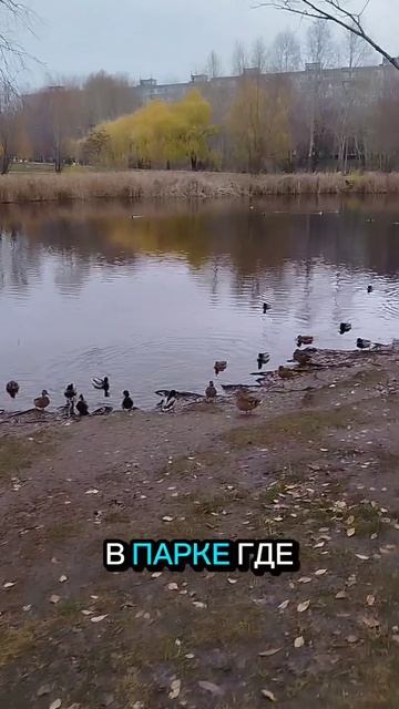 Жизнь после развода остановилась?