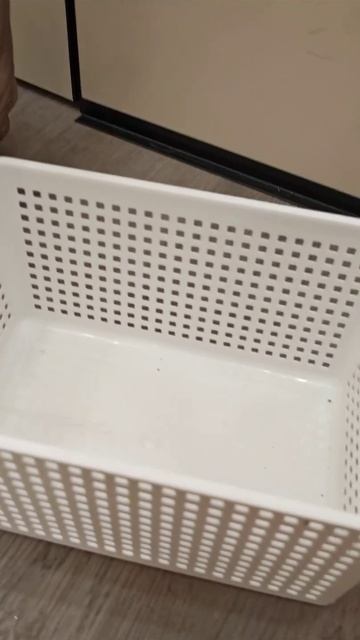 Коты вторые дети, согласны ?) #cat #кот #meow #мяу #дети #сфинкс