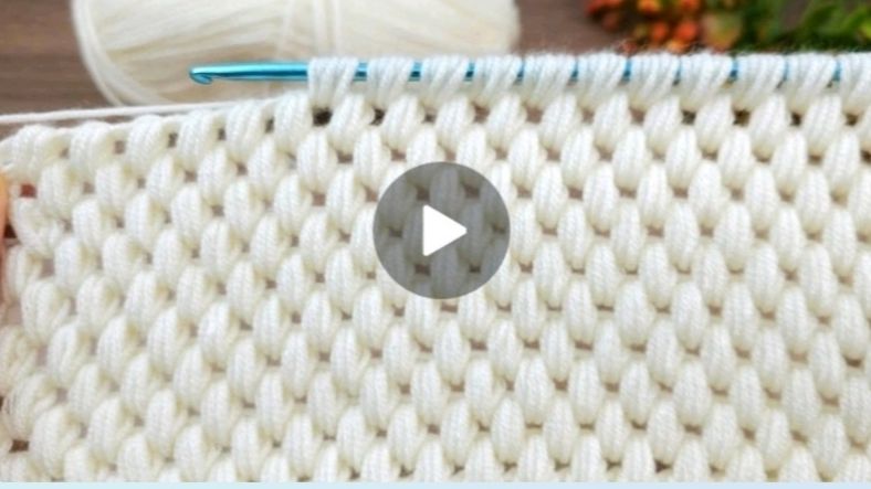 7875fc2ba512589548704f68b6af05cb