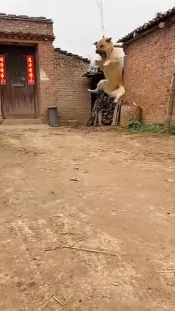 F8fb39e840b3c2a6029324ba24b8292f