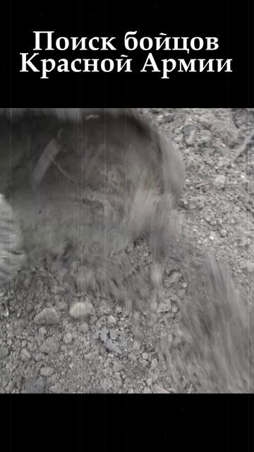 Поиск бойцов Красной Армии