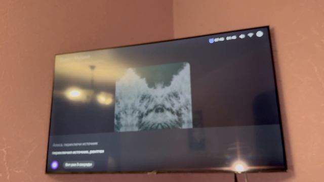 74c173892976fdd74973ae5e1a939492