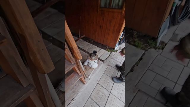 Собираем на парафин для СВО.