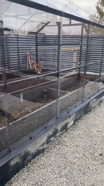 Теплица под стекло