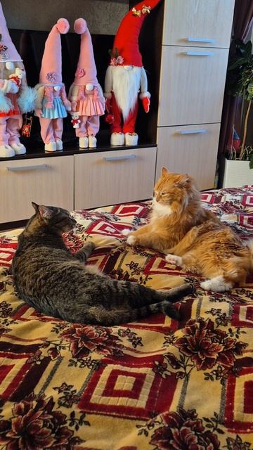 136d779eafca32e8068016162a858f06