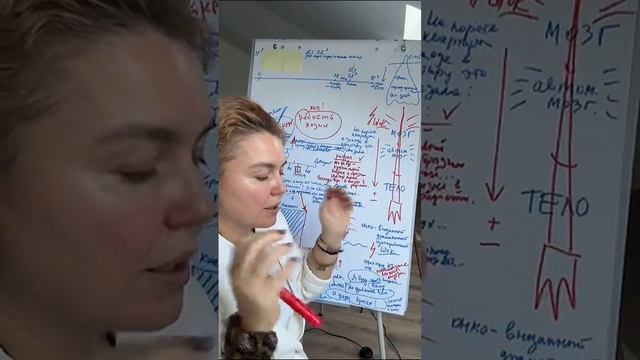 video_2025-11-21_12-02-48