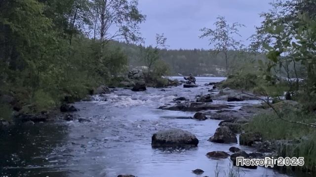 Cc759be800deb5c7436b05aee15764d6