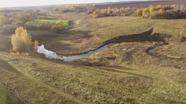 Тульская область. Чернский район. Урочище  Гудаловка 3.0. Октябрь.
