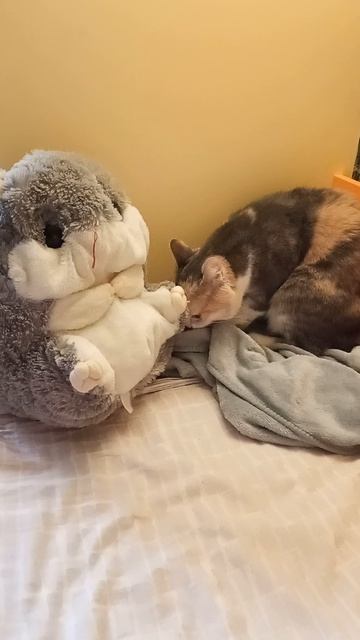 Добьём 100 подписчиков до нового года?#shorts.