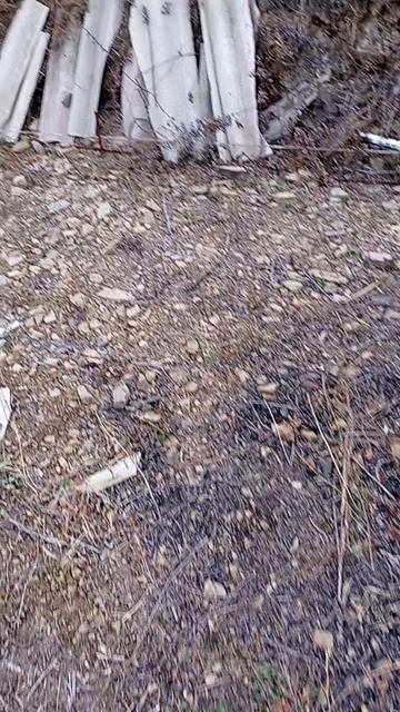 Подготовка к установке очередного балагана