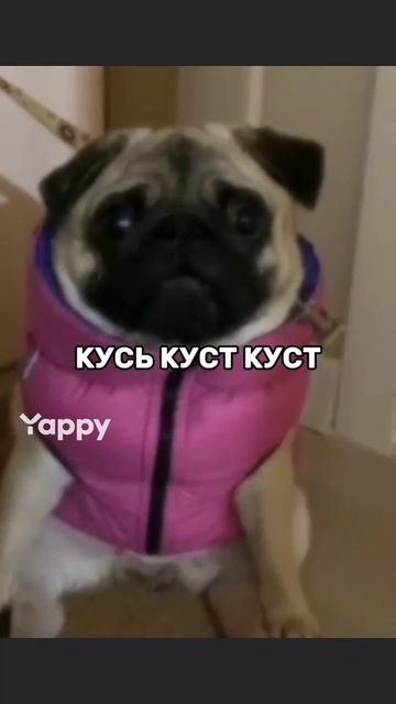 хз что это
